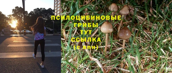 ПСИЛОЦИБИНОВЫЕ ГРИБЫ Бугульма