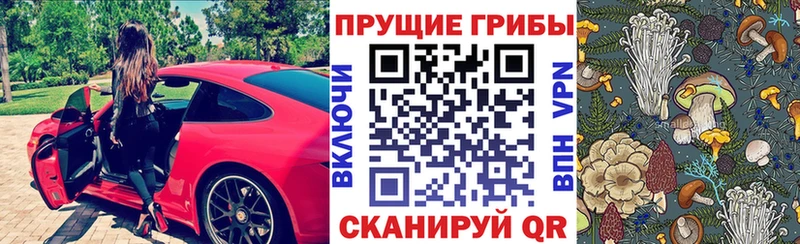 Псилоцибиновые грибы Psilocybe  Купить  Фатеж 
